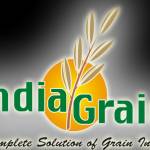 india grain profile picture