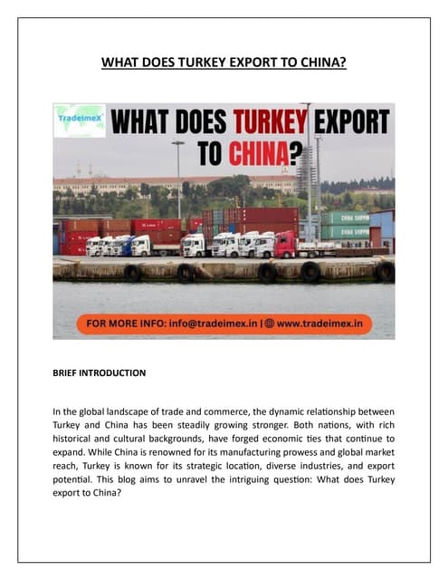 WHAT DOES TURKEY EXPORT TO CHINA.pdf