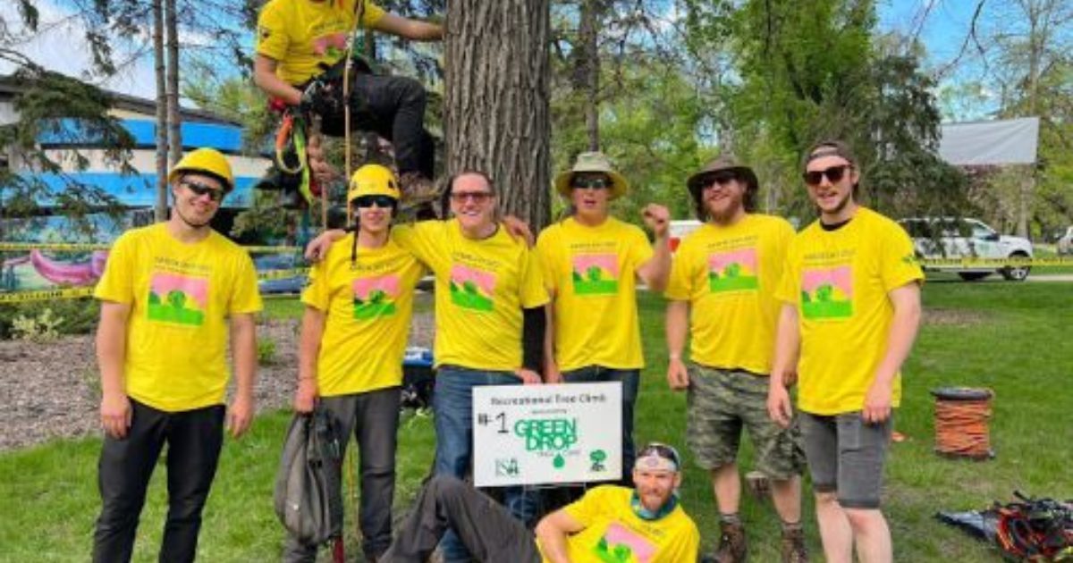 Tree Care & Arborist Services | Green Drop