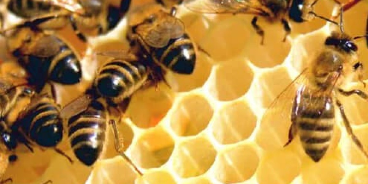Unveiling the Health Benefits of Hawaii's Organic Honey