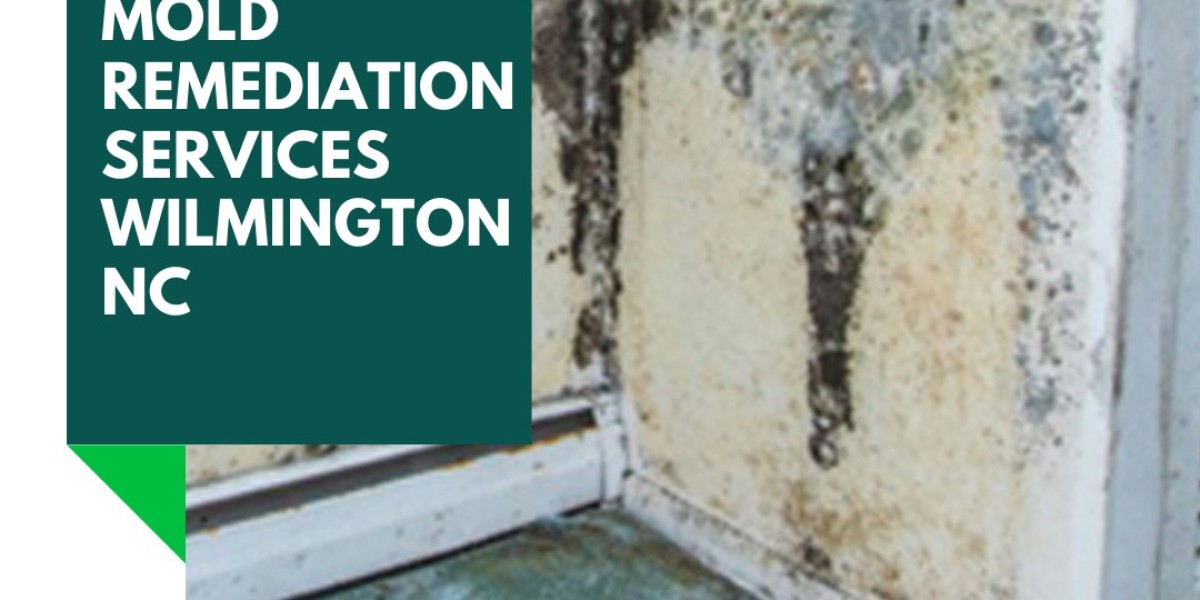Say Goodbye to Mold: How A&I Fire and Water Restoration Can Help with Mold Remediation in Wilmington, NC