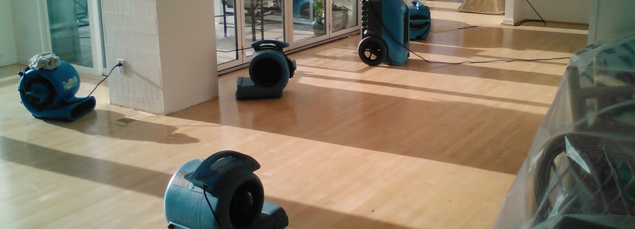 Capital Facility Services Cover Image