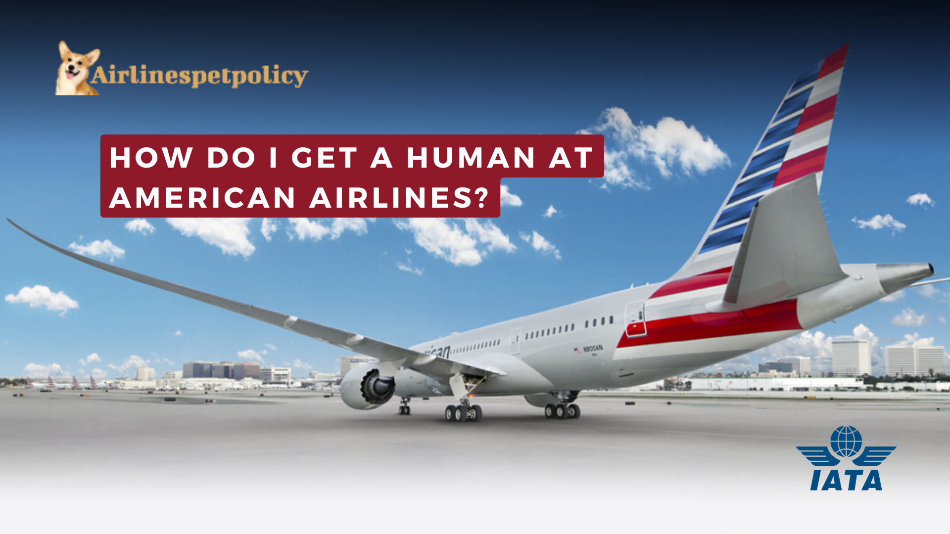 How do I contact American Airlines customer service? (AA)