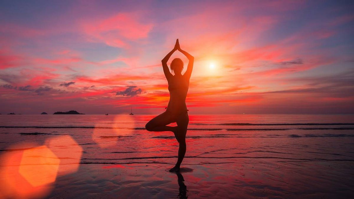 Unlocking the Path to Serenity: YCB Level 1 Books and 200-Hour Yoga Teacher Training | by Ayushmanyog | Sep, 2023 | Medium