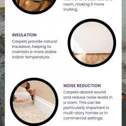 4 Reasons Why Carpet Installation Is Necessary | Visual.ly