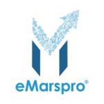 eMarspro Inc profile picture