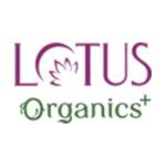 Herbs n Organics Profile Picture