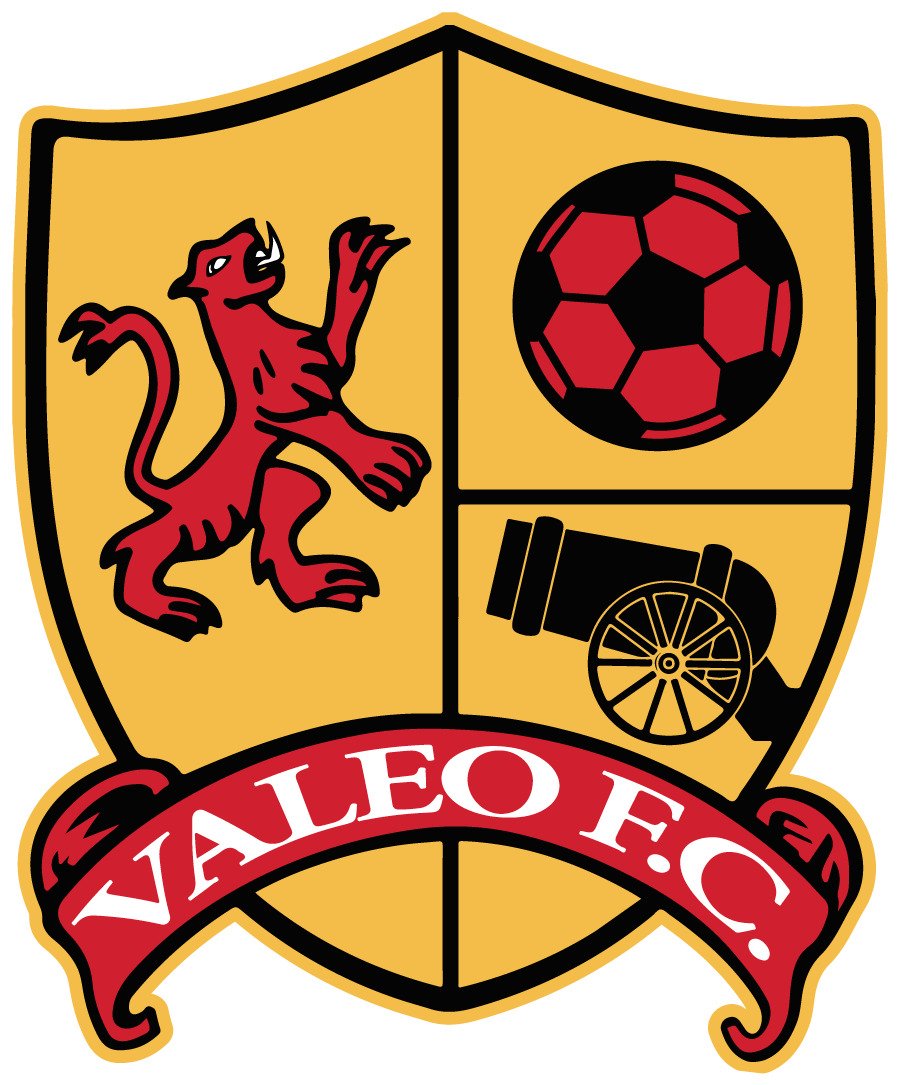 Benefits of Soccer Training provided by the Valeo Futbol Club