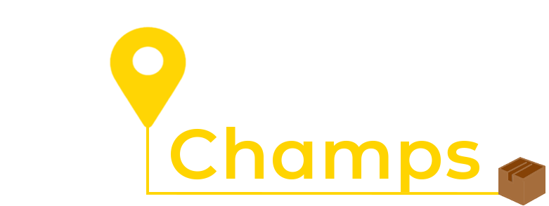 House Removalists Sydney | Mooving Champs