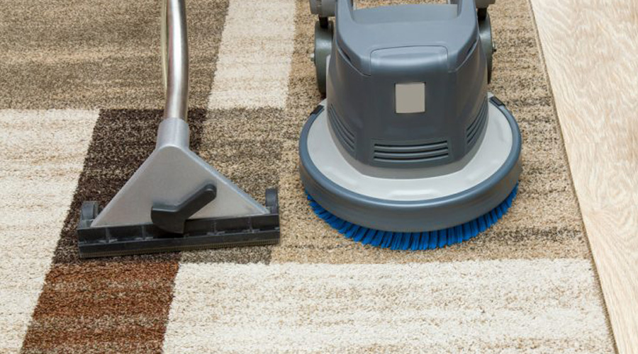 Most Frequently Googled Questions About Hiring Carpet Cleaner in Mississauga – Site Title