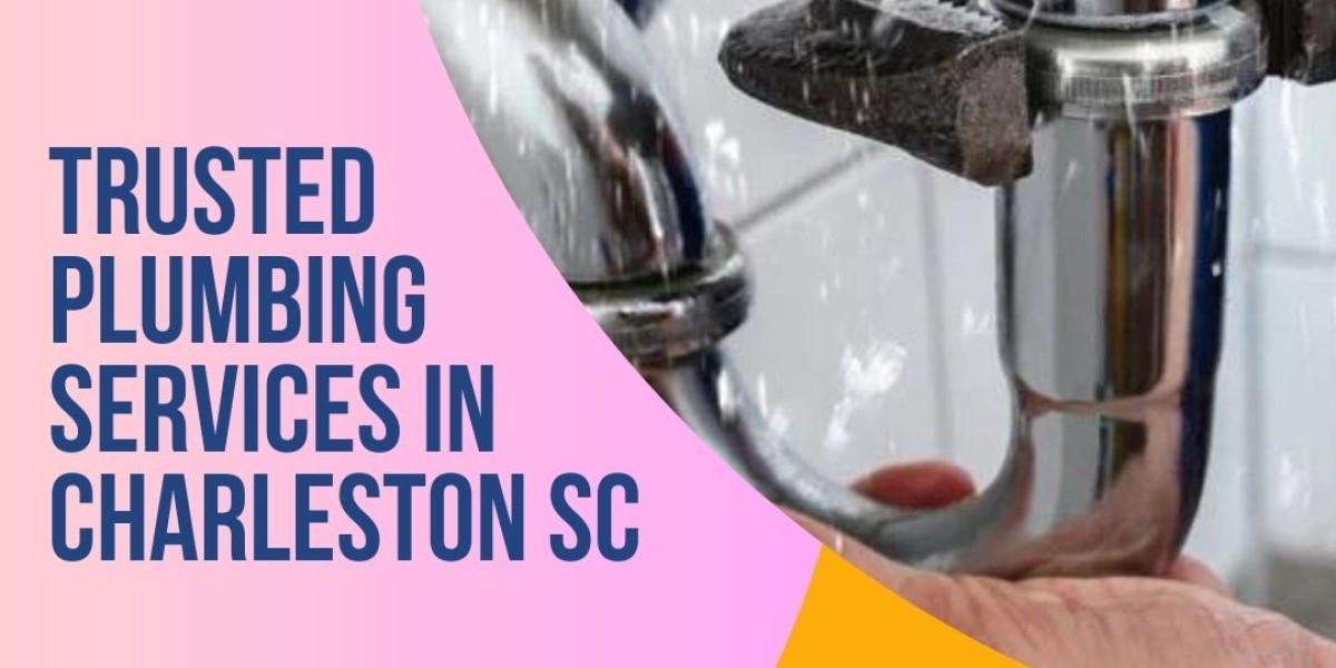 Charleston's Premier Plumbing Services: A Deep Dive into Patriot Plumbing