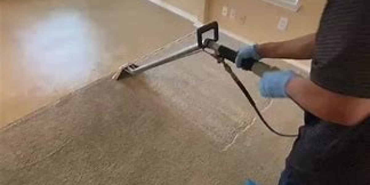 The Importance of Professional Carpet Cleaning Services