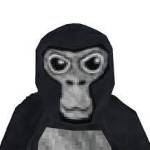 cactusmar Profile Picture