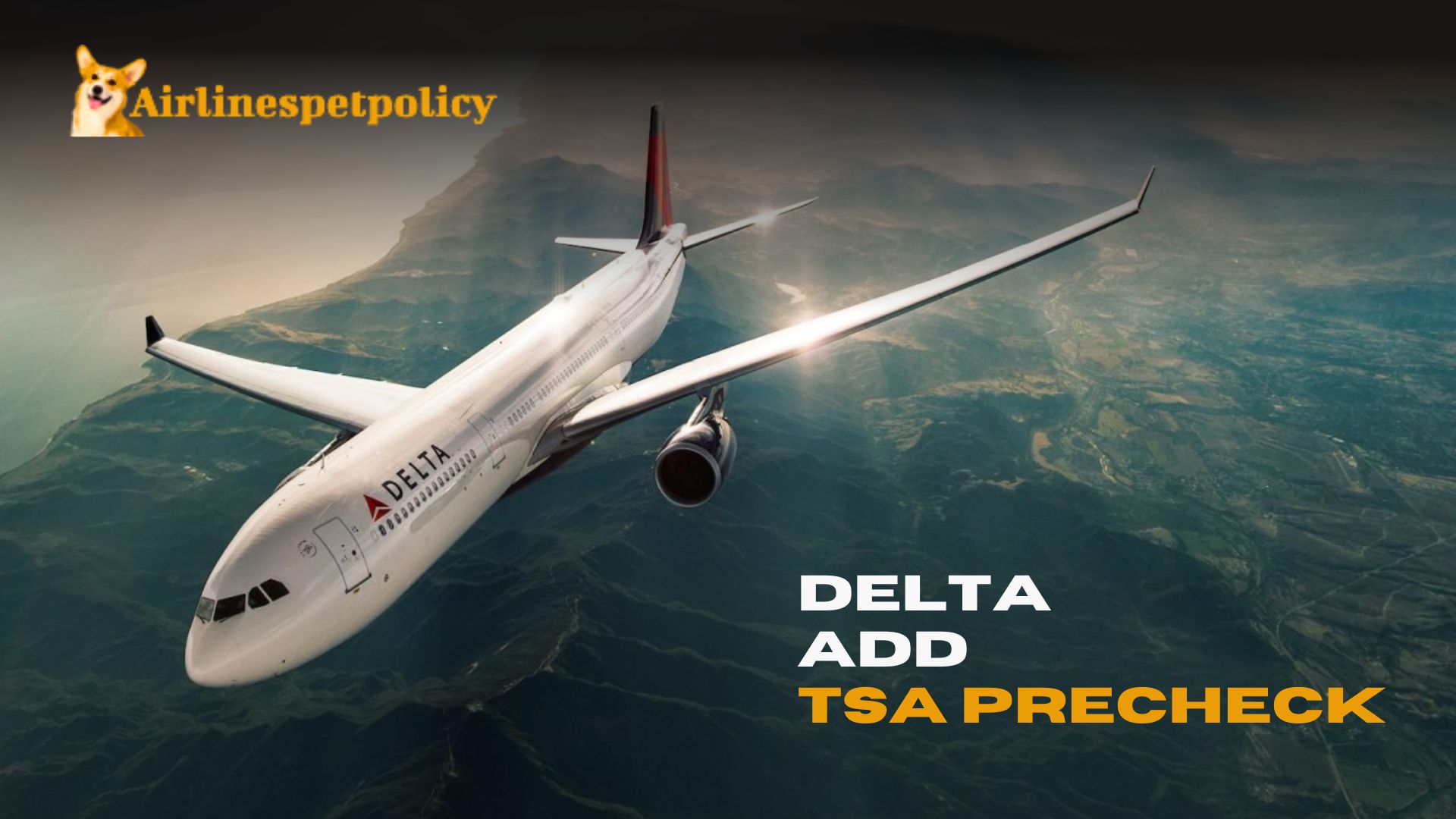 How to Add TSA PreCheck to Delta Airlines? | Existing | Fee