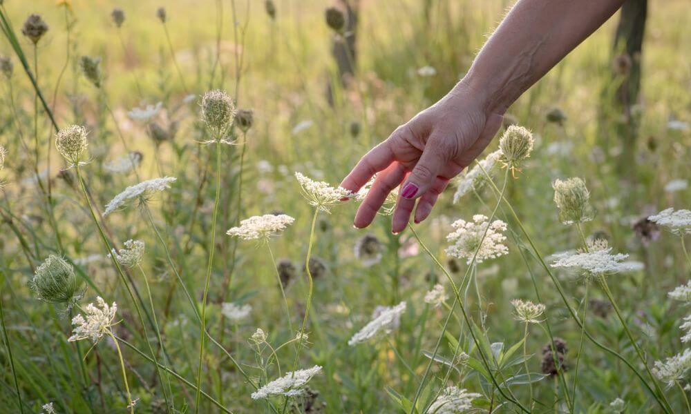 Reconnecting with Self, Nature, and the Planet Through Faith - Church.org