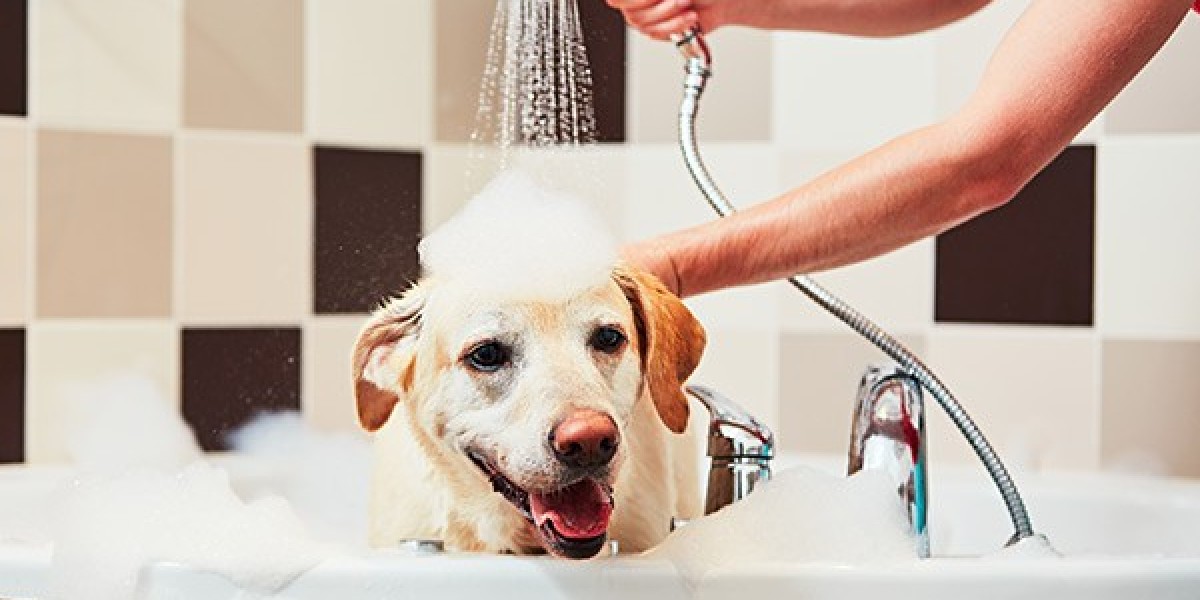 Unveiling the Costs of Dog Bathing Service in Delhi: What to Expect at Another Home