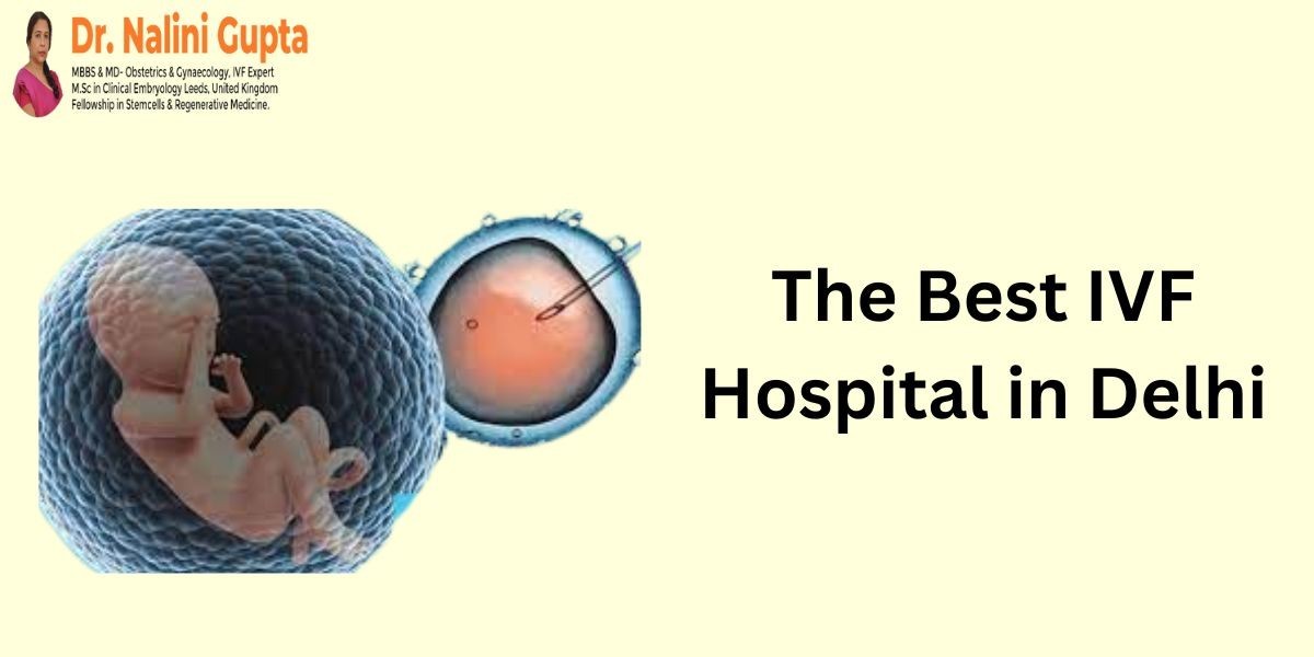 Best IVF Hospital in Delhi