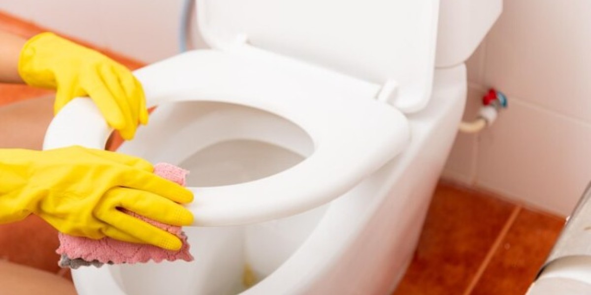 How Professional Cleaners Achieve Spotless Toilets: Insider Secrets