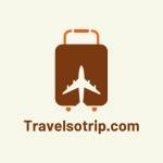 Travelsotrip Group Profile Picture
