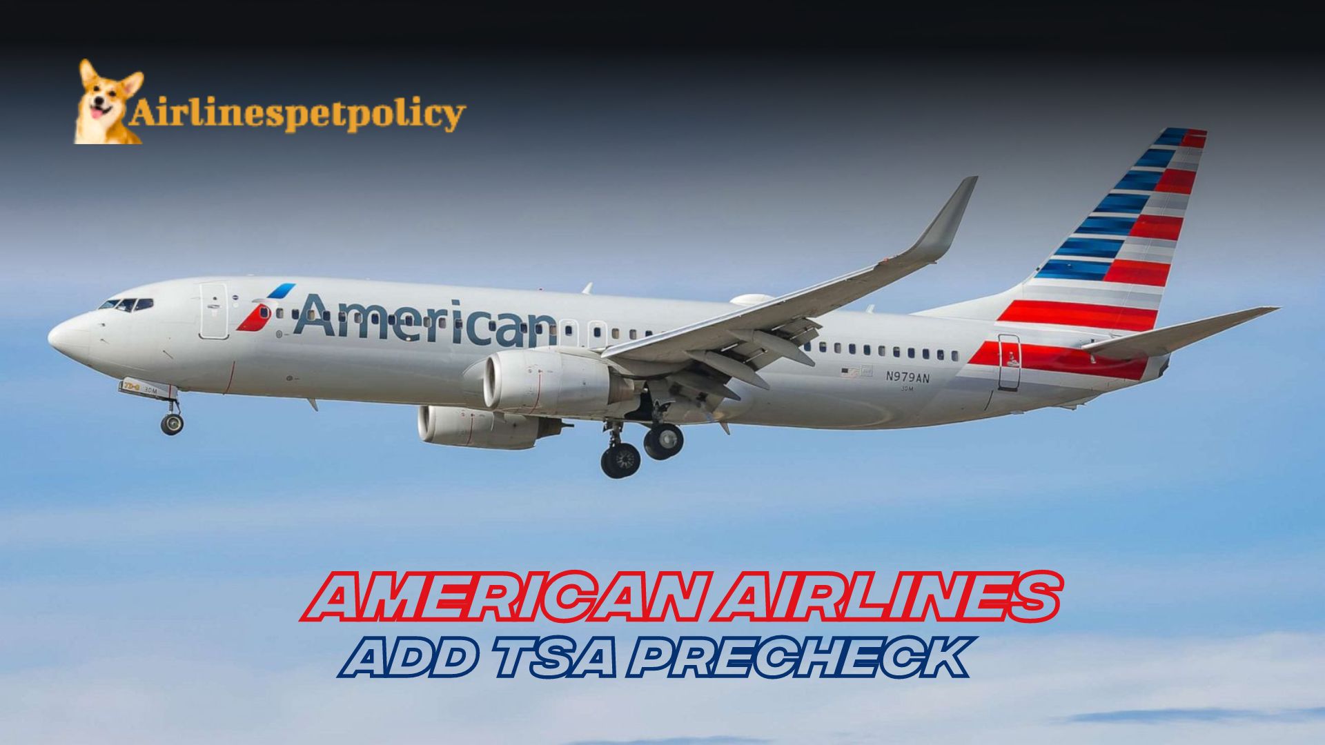 How to Add TSA PreCheck to American Airlines? | Existing | Fee