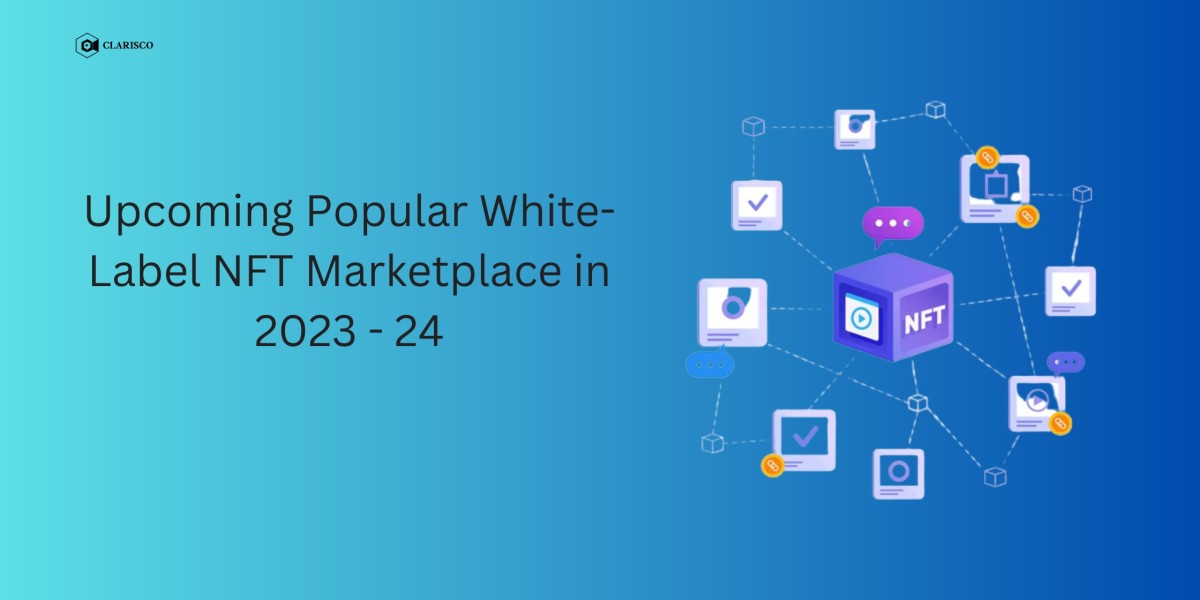 Upcoming Popular White-Label NFT Marketplace in 2023 - 24