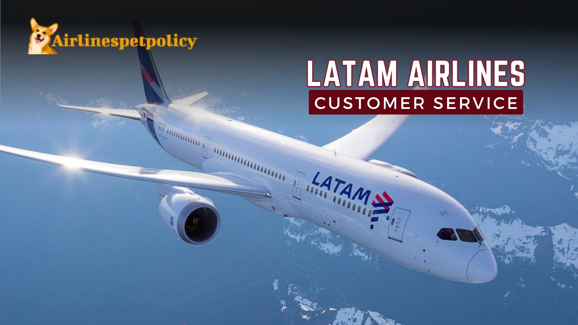 How do I talk to someone at LATAM? | Services & Information