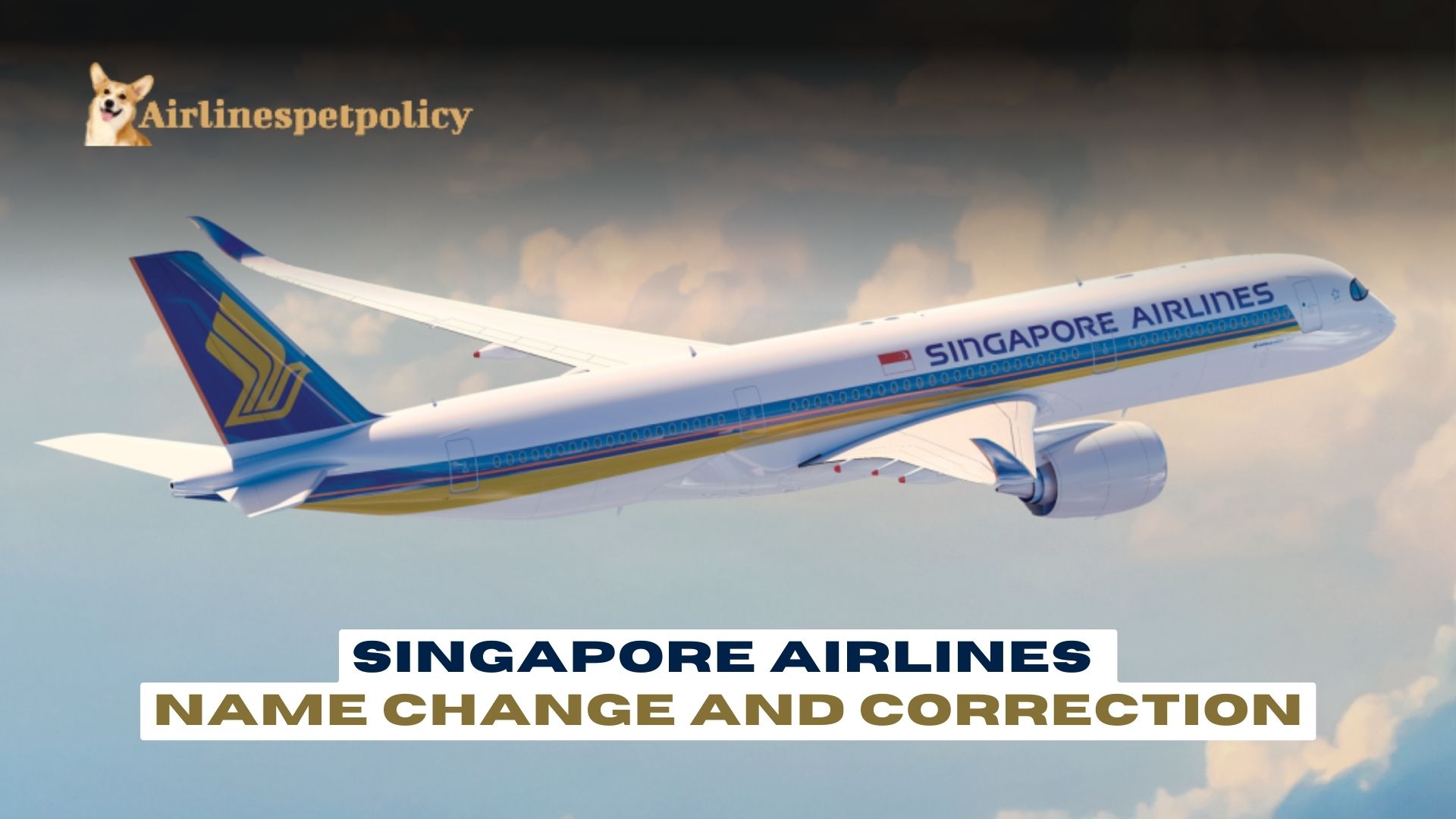 Singapore Airlines Name Change and Correction Policy