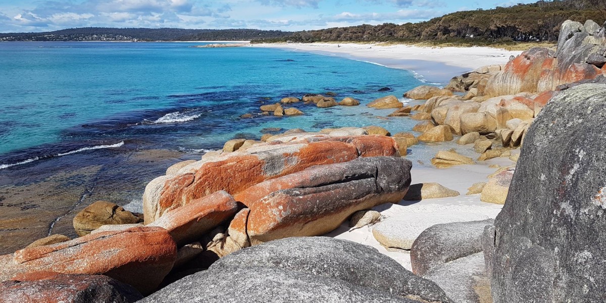 Wild Tasmania Tours: Discovering the Untamed Beauty of Australia's Island State