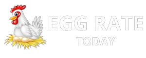 NECC Egg Rate Today, Egg Rate Today Barwala, Egg Price Today