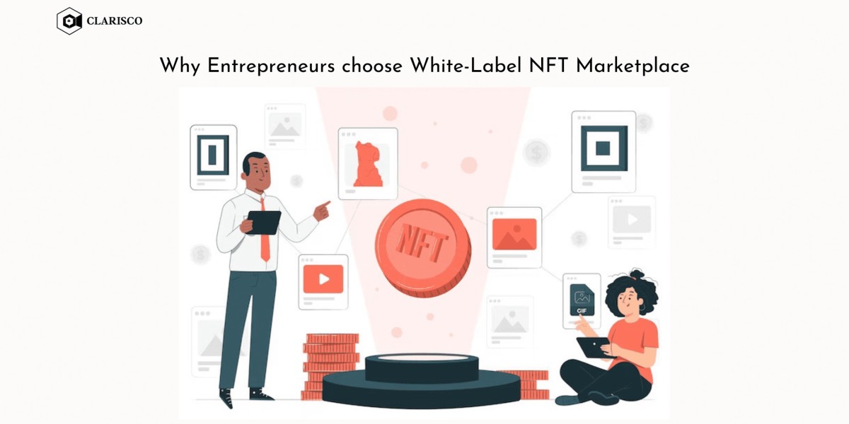 Why entrepreneurs choose white-label NFT marketplace