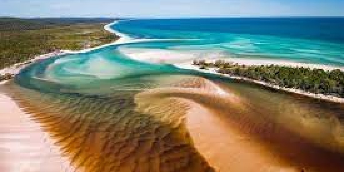 Fraser Island from Brisbane: Your Gateway to Adventure