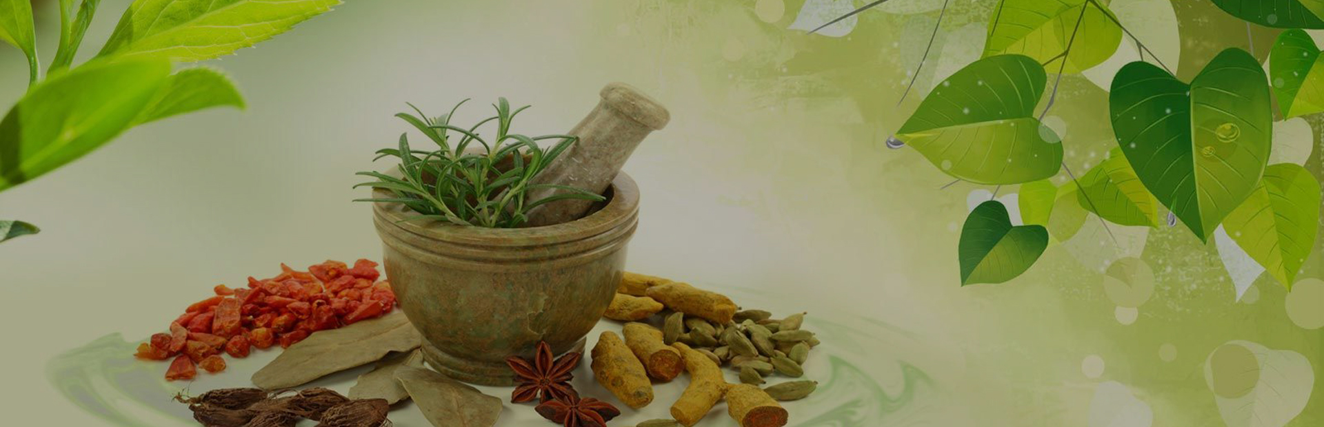 Vedwellness -        	Ayurvedic PCD company