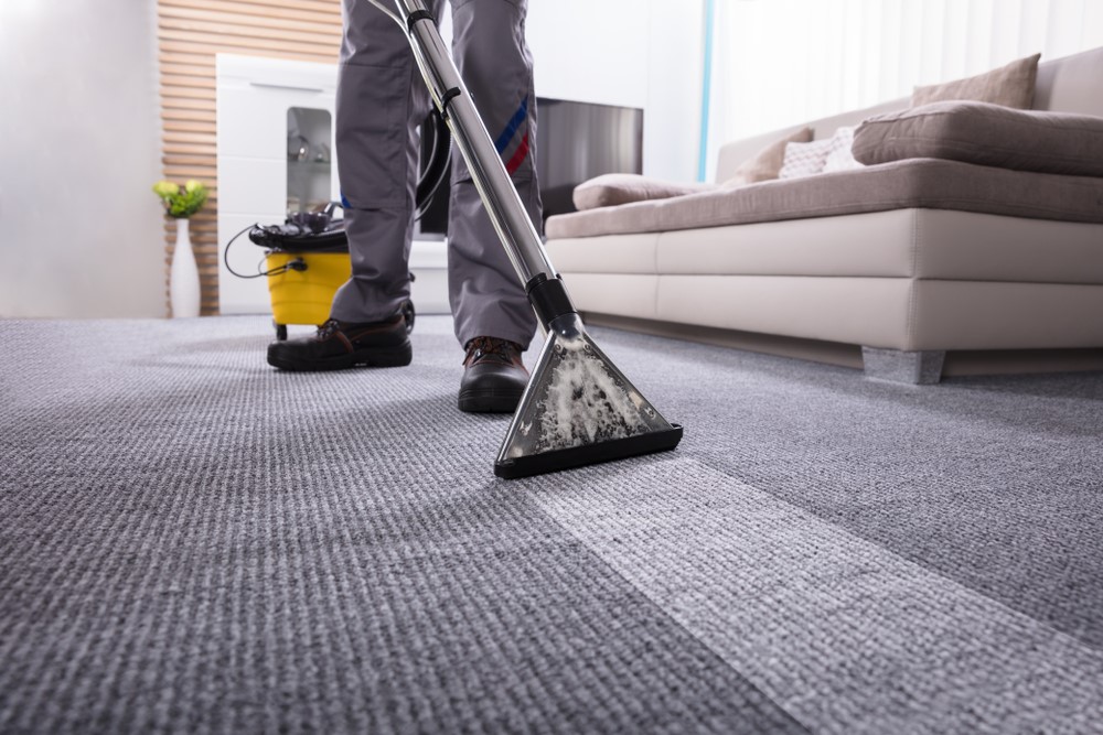 Reasons Why a Steam Carpet Cleaner is a Must-Have for Allergy Sufferers – Newswiresinsider.com