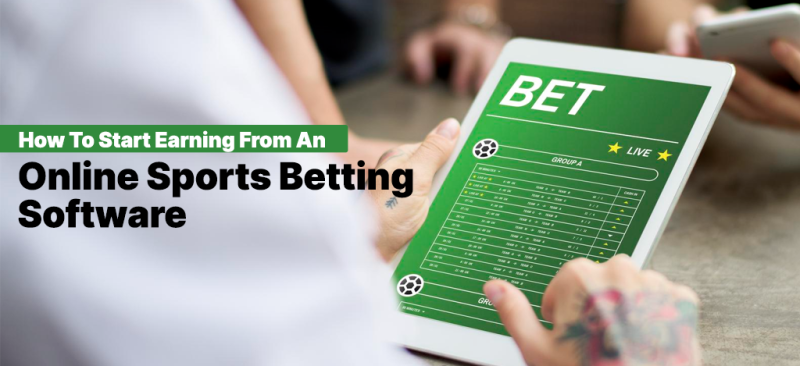 How To Start Earning From An Online Sports Betting Software : betfoc01 — LiveJournal