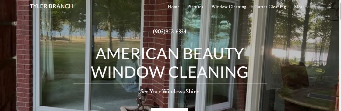 American Beauty Window Cleaning Cover Image