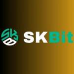 skbitvip Profile Picture