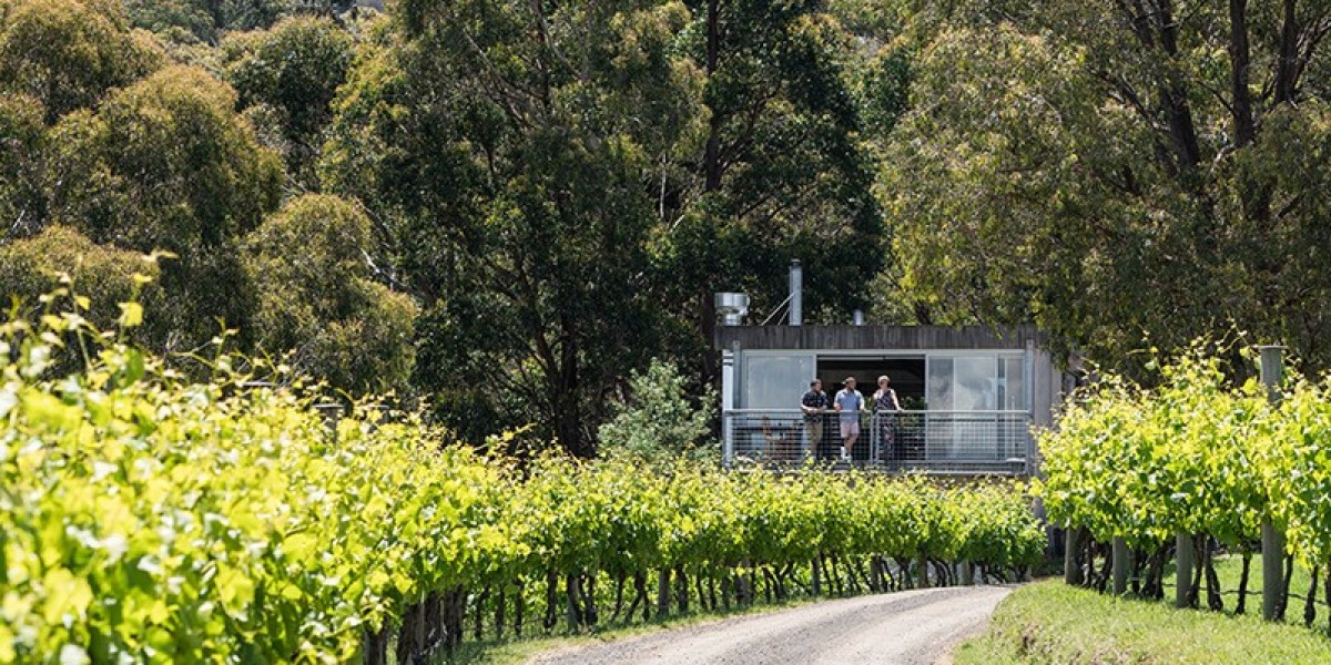 Discover the Exquisite Flavors of Mount Towrong Vineyard Wines: A Journey into the Heart of the Region's Winemaking