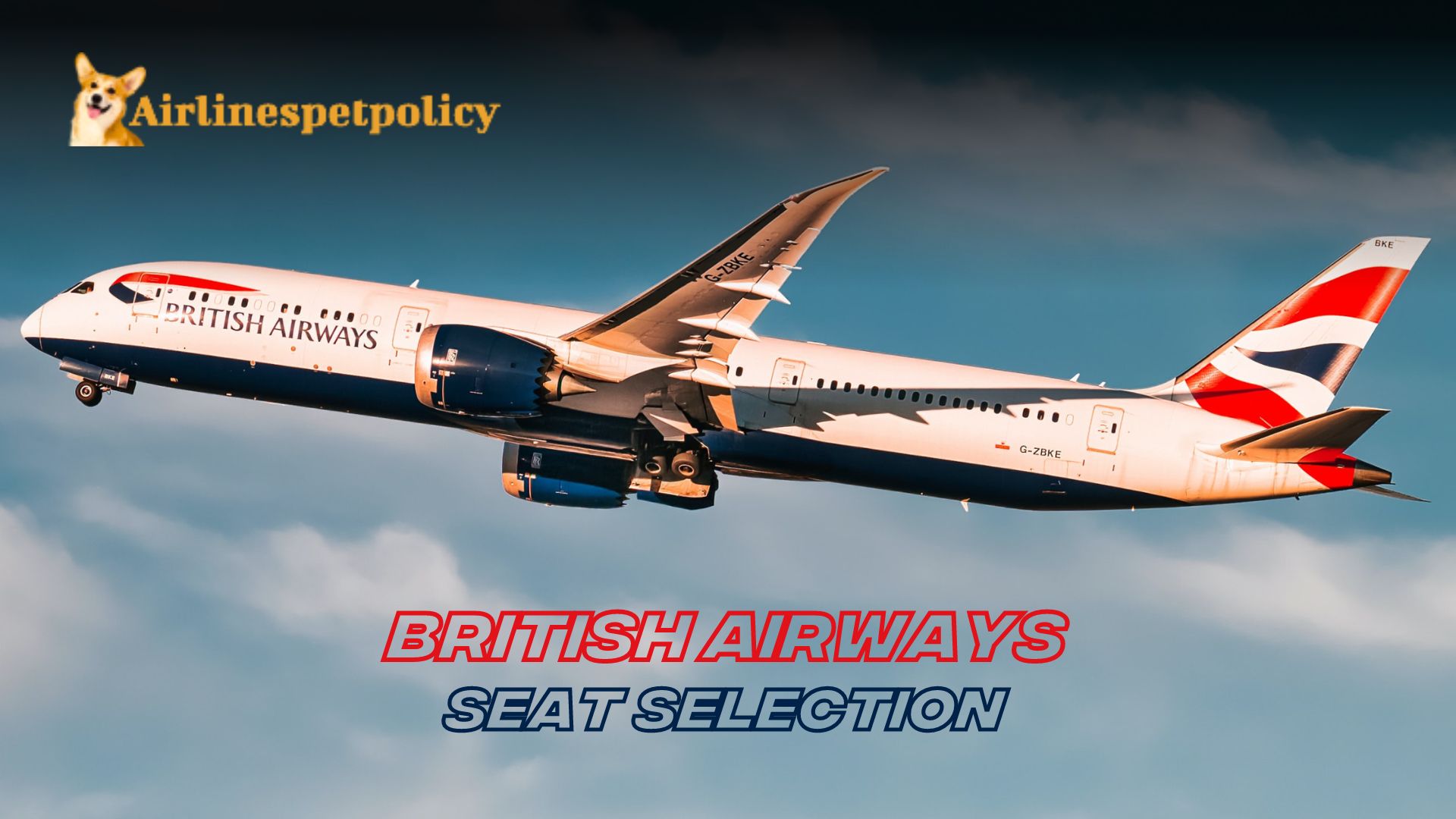 How do I select seat on British Airways? | Policy & Fee