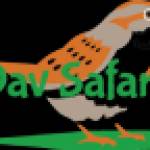 Dav Safaris profile picture