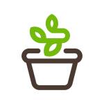 caycanhdeban Profile Picture