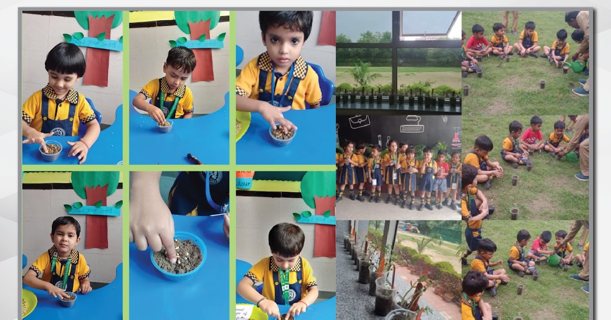DIS Edge: The Best School in Dwarka Delhi for Activity-Oriented Learning