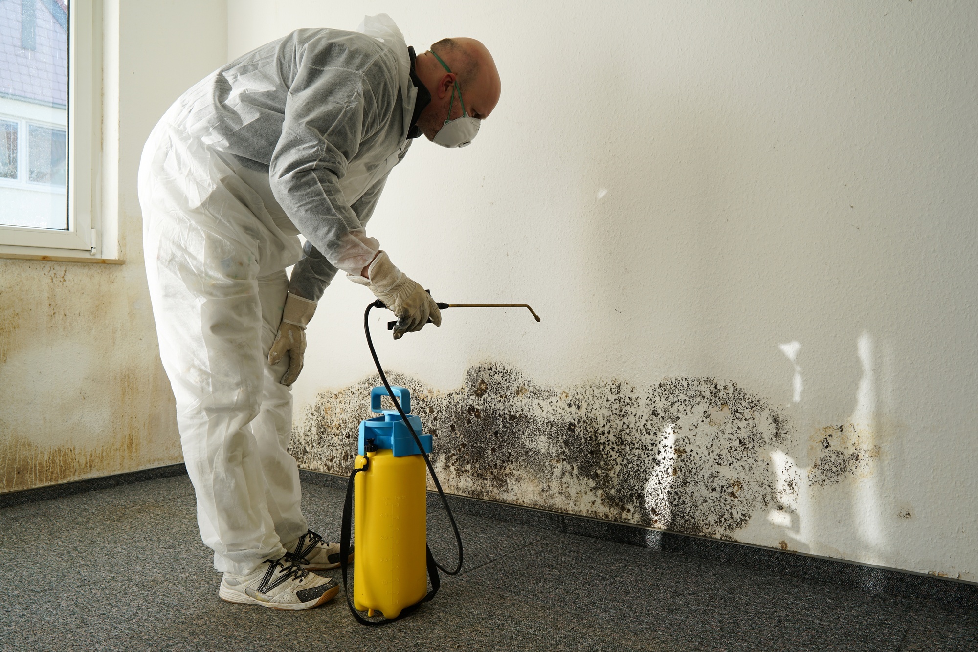 Dealing With Mould Discovery: Steps For Water Damage Restoration In Your Home - TIMES OF RISING