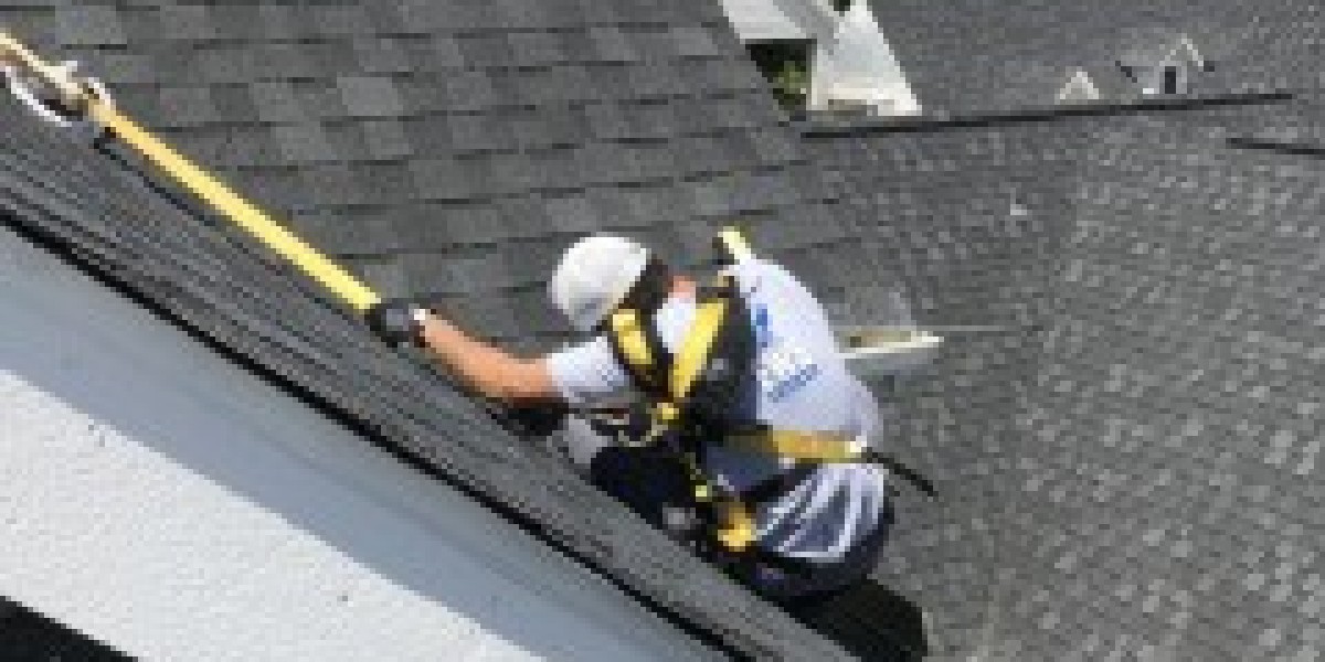 Choosing the Right Bat Removal Company in Houston