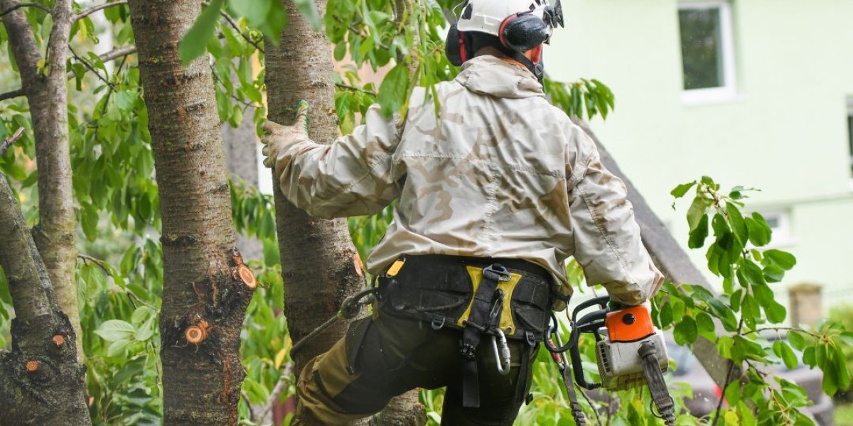 Local Tree Removal: Your Trusted Arborist in Peterborough