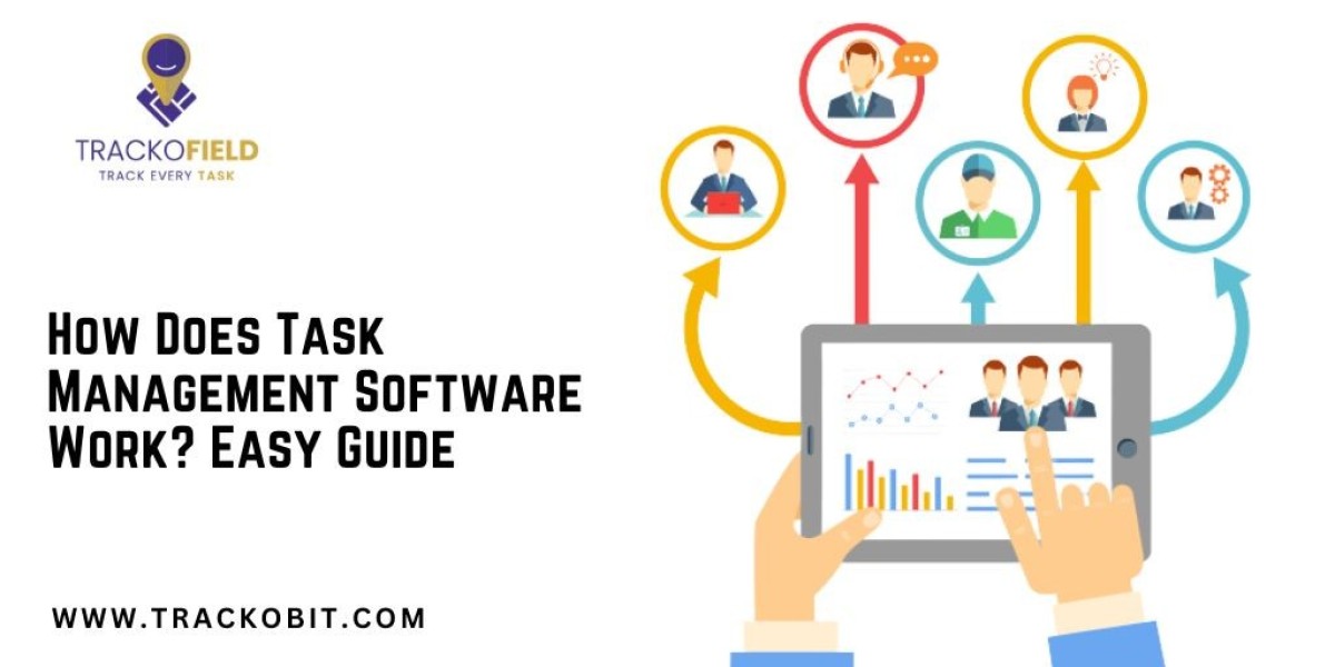 How Does Task Management Software Work? Easy Guide