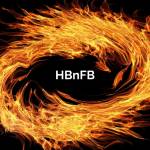 hirebunch firebunches Profile Picture