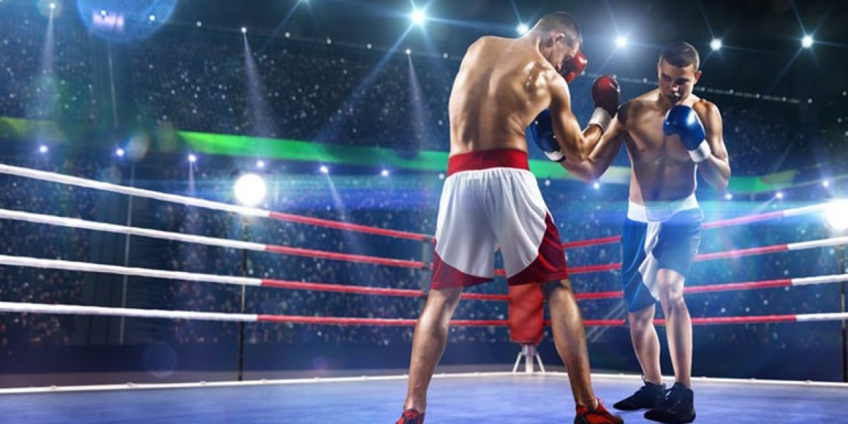 Totalsportek Boxing Live Stream: Where Each Round Becomes completely awake