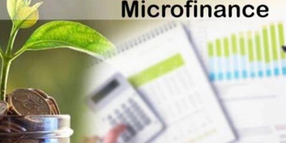 The Journey of a Microloan: From Application to Entrepreneurial Success