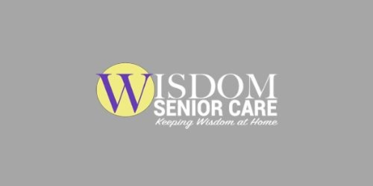 Senior Care Franchises: Exploring Opportunities with Wisdom Senior Care