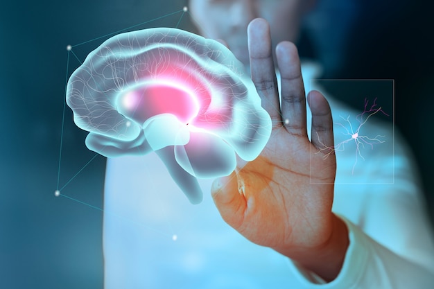 How Neurofeedback Therapy Rewires Your Brain - WriteUpCafe.com